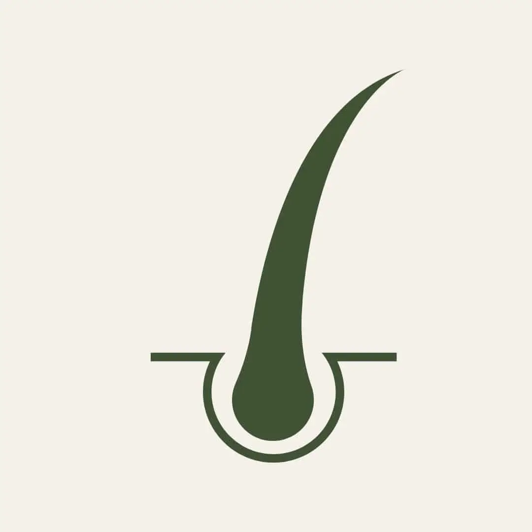 Effectieve Haarverlies Behandelingen In Antwerpen Haargroei behandeling